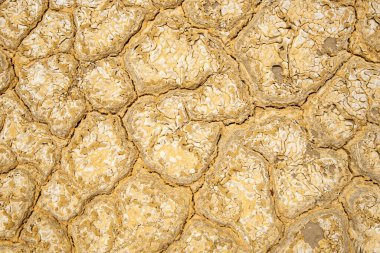 Kuru, çatlak zemin. Küresel ısınma imajını kavra.