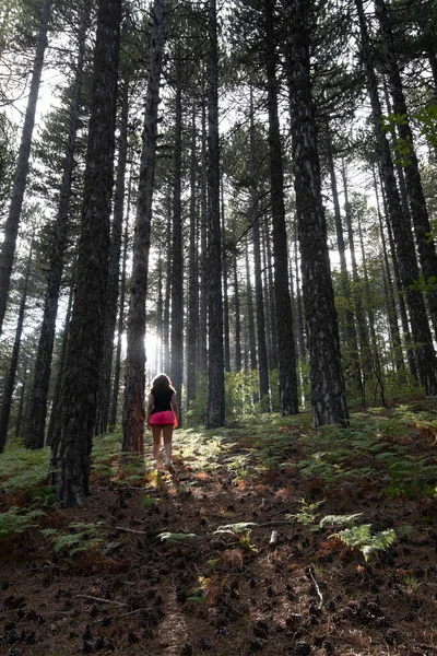 Mujer caminando por el bosque Troodos montañas Chipre —  Fotos de Stock