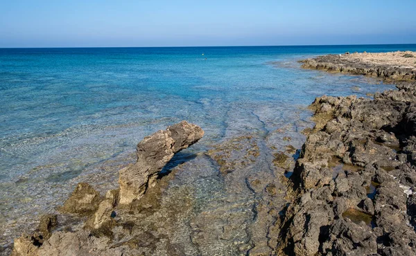 Paisaje marino con agua azul turquesa clara y cielo azul con espacio para copiar. — Foto de Stock