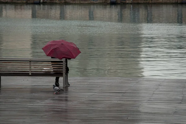 Unerkennbare Frau mit rotem Regenschirm sitzt auf Holzbank im Regen Stockbild