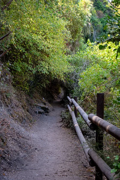 Empty forest hiking footpath trail in Autumn. — Stock Photo, Image