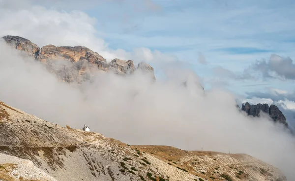 Paisaje de montaña con niebla en otoño. Tre Cime dolomiti Italia. —  Fotos de Stock