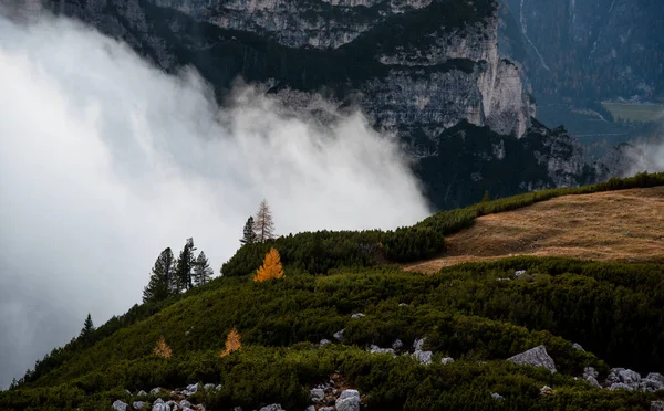 Paisaje de montaña con niebla en otoño. Tre Cime dolomiti Italia. —  Fotos de Stock