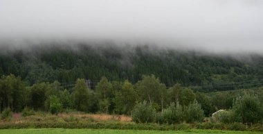 Dağ yamacındaki yeşil bir ormanın üzerine çöken sis gizemli ve atmosferik bir manzara yaratıyor.