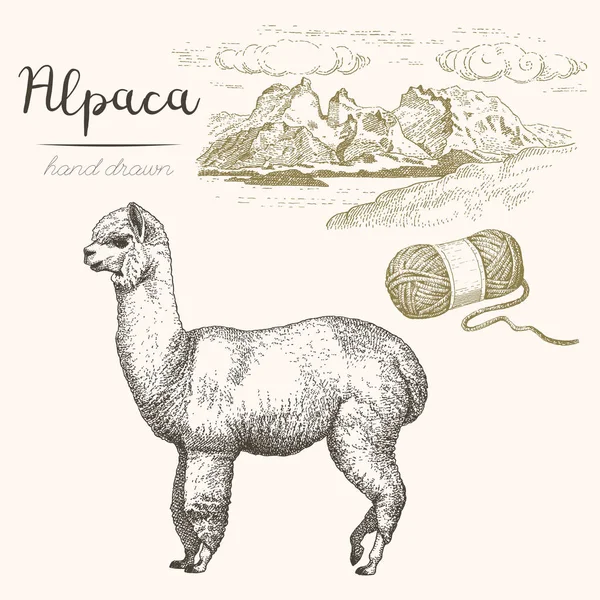 アルパカ 白い背景のアルパカと山の風景のスケッチをベクトルのセット — ストックベクタ