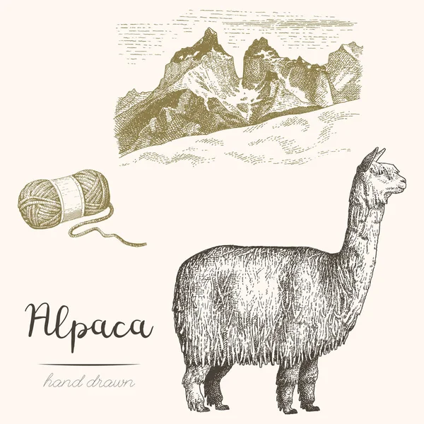 Alpaca Conjunto Bocetos Vectoriales Alpaca Paisaje Montaña Sobre Fondo Blanco — Vector de stock