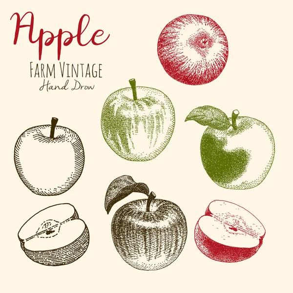 Векторні Малюнки Рук Листя Яблука Яблука — стоковий вектор