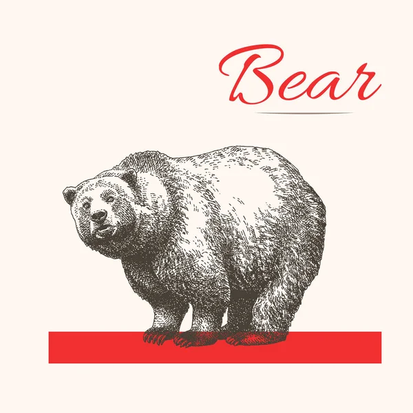 Αρκούδα Grizzly Απεικόνιση Διάνυσμα Κόκκινη Γραμμή — Διανυσματικό Αρχείο
