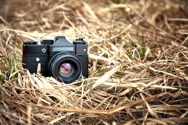 Karadeniz. Dağlar. Crimea.