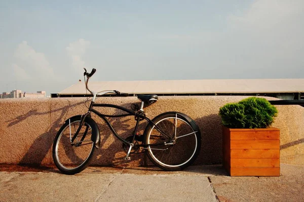 Karadeniz. Dağlar. Crimea.