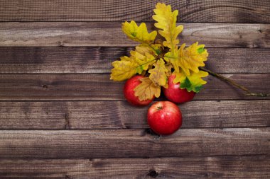 Rustik bir arka plan ve meşe yaprakları olgun elma.