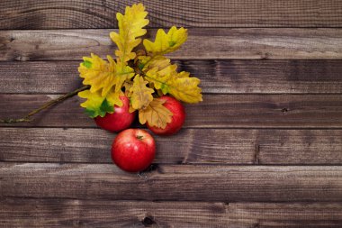 Rustik bir arka plan ve meşe yaprakları olgun elma.
