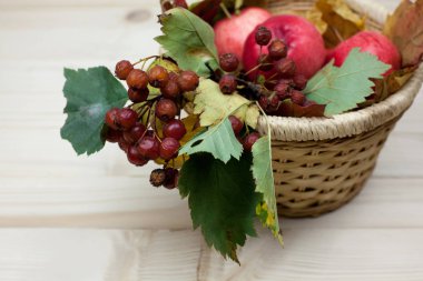 Alıç şube ve olgun bir sepet elma