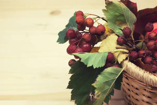 Alıç çilek bir hasır sepet içinde Şubesi