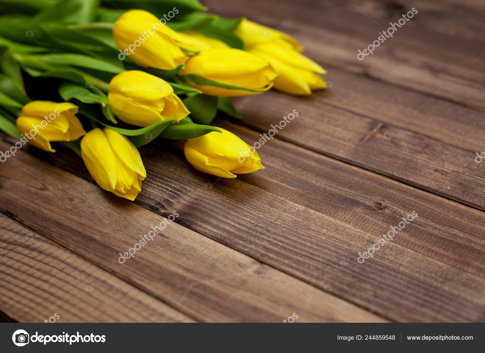 3月8日在深色木制背景礼物上的黄色郁金香花束 图库照片 C Lybimova 3月8日在深色木制背景礼物上的黄色郁金香花束 图库照片 C Lybimova