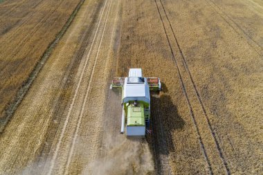 Hasat hava dron görünümünü birleştirmek alan üzerinde çalışıyor. Yaz hasat. Çiftlik işleri