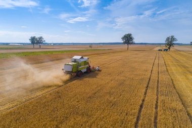 Hasat görünümünü dron birleştirmek alan üzerinde çalışıyor. Yaz hasat. Çiftlik işleri