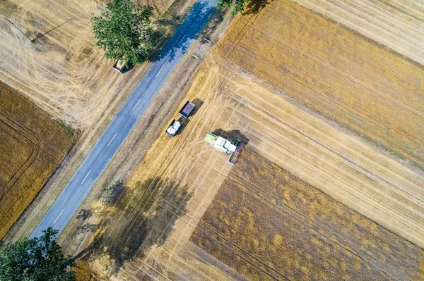 Drohnenaufnahme Eines Mähdreschers Bei Der Feldarbeit Sommerernte Arbeiten Auf Dem — Stockfoto