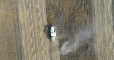 Hasat dron video birleştirmek alan üzerinde çalışıyor. Yaz hasat. Çiftlik işleri