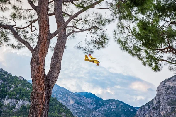 Löschflugzeug Bei Waldbrand Italien Einsatz — Stockfoto