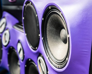 Arabanın kapısını araba hoparlörler. Araç ses sistemi