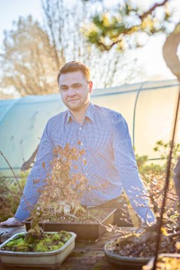 Bonsai ağacı çiftliğini genç adam. Küçük işletme kavramı