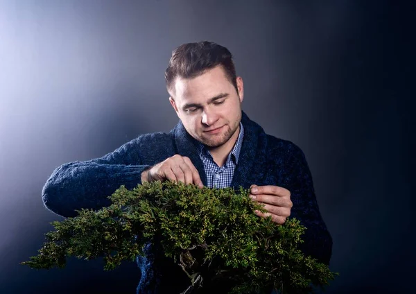 Studio Shot Young Man Pruning Japanese Bonsai Tree Hobby Passion — Stock Photo, Image