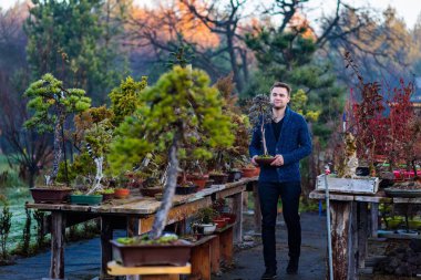 Asya bonsai ağacı olan adam. Küçük işletme kavramı