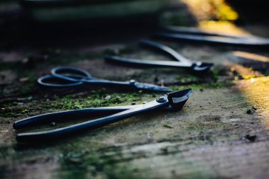 Eski ahşap masa üstünde metal bonsai alet