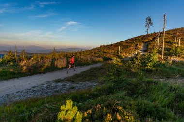 Genç kadın çapraz dağlarda yaz çalıştıran. Çalışan bir kadın. Silesian Beskid, Szczyrk, Polonya