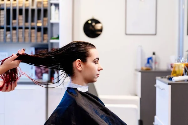 Cabeleireiro styling jovem mulher cliente cabelo no salão — Fotografia de Stock