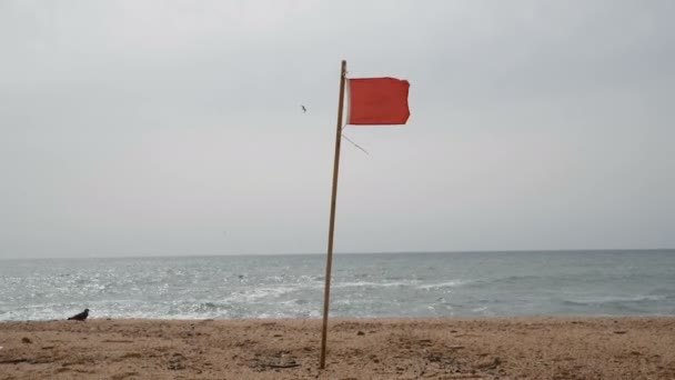 Video Viftende Rødt Varselflagg Stranden – stockvideo