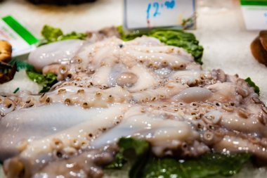 Çiğ taze deniz ürünleri ahtapot