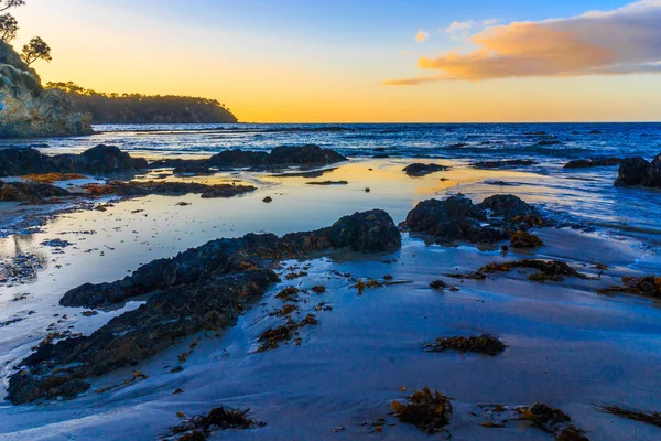 Dawn Barlings Beach Nueva Gales Del Sur Australia — Foto de Stock