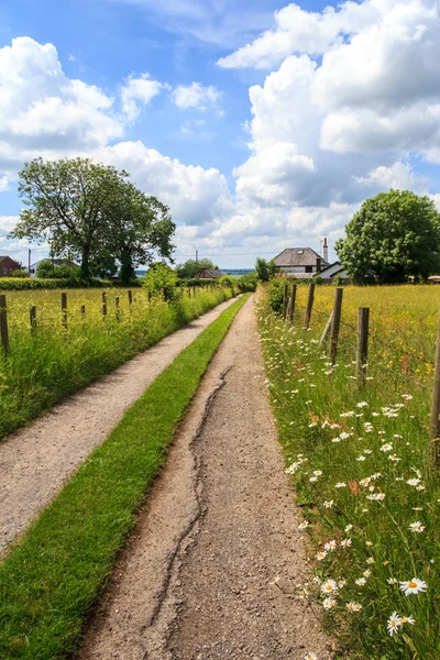 Country lane, Buckinghamshire, England