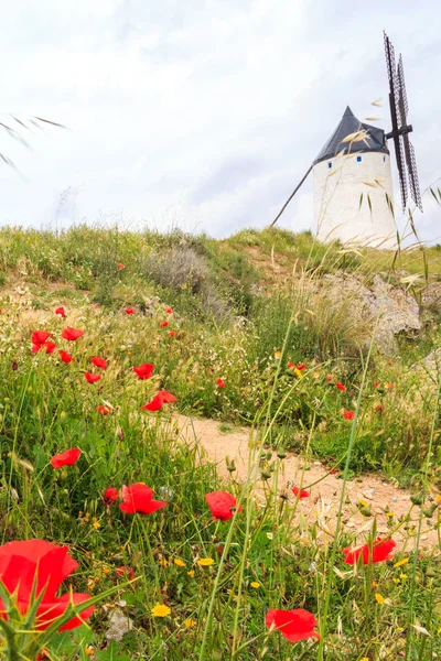 Ветряная Мельница Consuegra Spain — стоковое фото