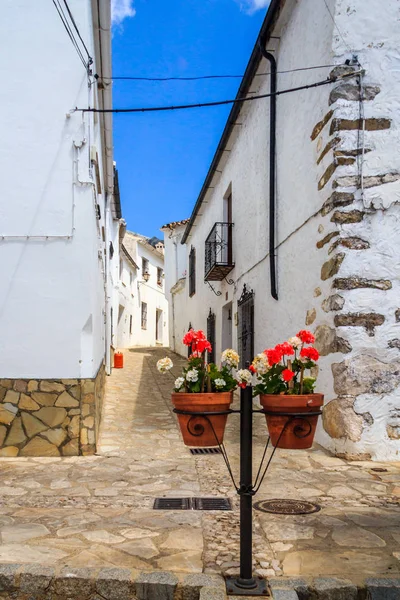 Piantagioni Con Fiori Alla Fine Una Strada Stretta Benaocaz Spagna — Foto Stock