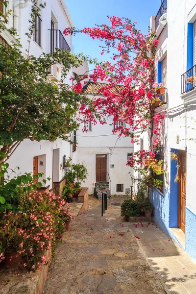 Dar sokak içinde eski Ubrique şehir, Cadiz Eyaleti, İspanya