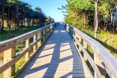Boardwalk through the Newborough forest, Anglesey, Wales, United Kingdom clipart