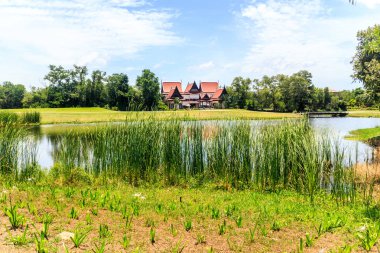 Gölde Laguna golf sahası ile konut geliştirme arka planda, Phuket, Tayland