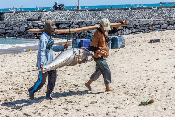 Bali Indonesia 30Th May 2017 Two Men Carrying Large Tuna — Stock Photo, Image