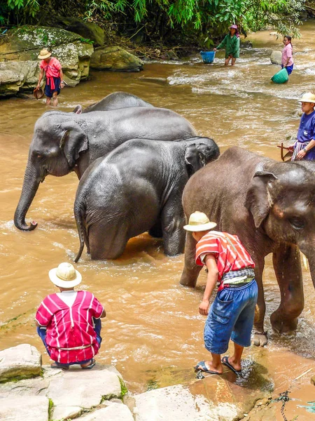 Chiang Mai Thailand Juli 2007 Elefanten Baden Elefantenschutzgebiet Touristen Sind — Stockfoto