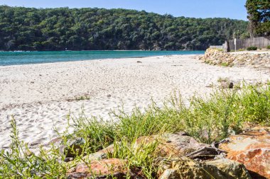 Deniz kenarında Pambula river Haliç, New South Wales, Avustralya