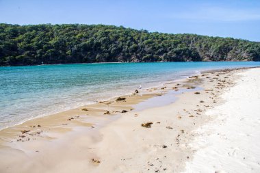 Deniz kenarında Pambula river Haliç, New South Wales, Avustralya