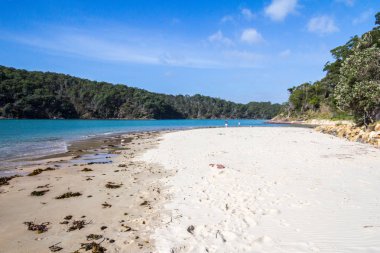 Deniz kenarında Pambula river Haliç, New South Wales, Avustralya