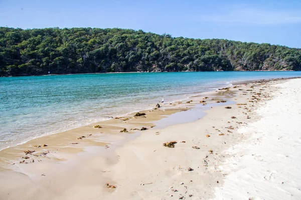 Deniz kenarında Pambula river Haliç, New South Wales, Avustralya