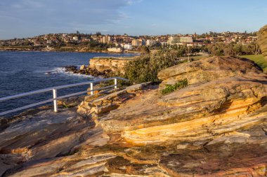 Kayalık kıyı şeridi, Coogee