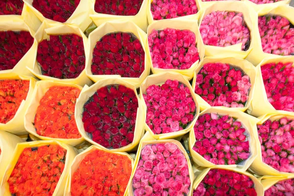 Bunshes Roses Bangkok Flower Market Thailand — Stock Photo, Image