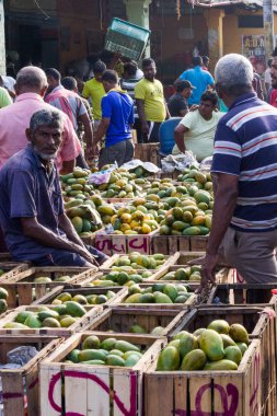 Erkek alıcı ve satıcılar Manning pazarında, Pettah bölgesi, Colo