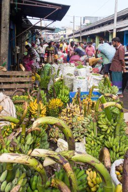 Pettah bölgesinde yoğun Manning pazarında Muz, Colombo, 
